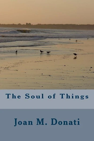 The Soul of Things