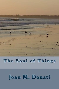 The Soul of Things