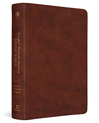 ESV Gospel Transformation Study Bible: Christ in All of Scripture, Grace for All of Life(r) (Trutone, Chestnut)
