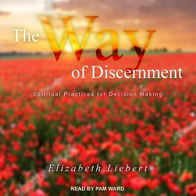 The Way of Discernment Lib/E: Spiritual Practices for Decision Making