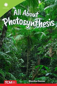 All about Photosynthesis