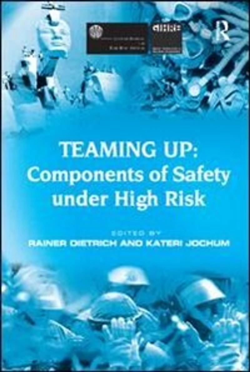 Teaming Up: Components Of Safety Under High Risk