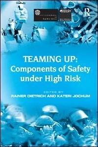 Teaming Up: Components Of Safety Under High Risk
