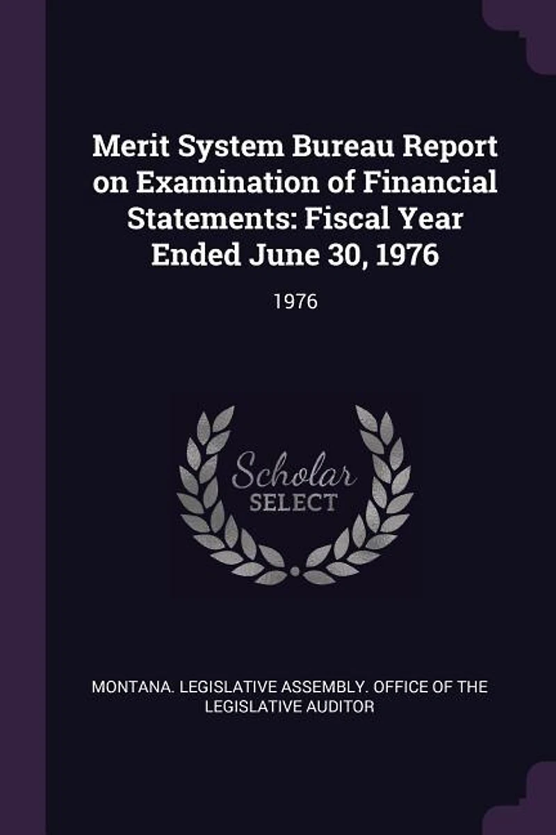 Merit System Bureau Report on Examination of Financial Statements: Fiscal Year Ended June 30, 1976: 1976