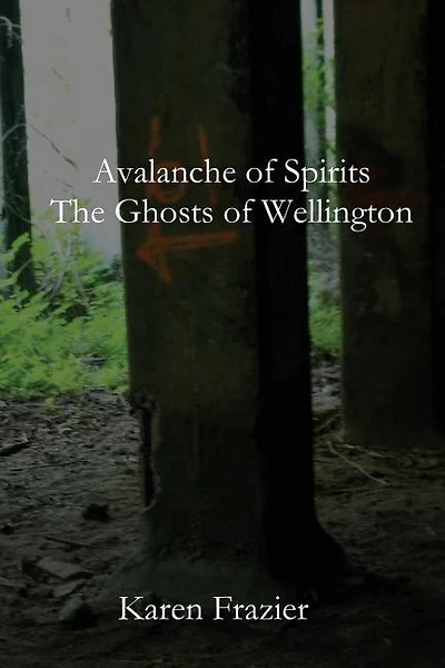 Avalanche of Spirits: The Ghosts of Wellington