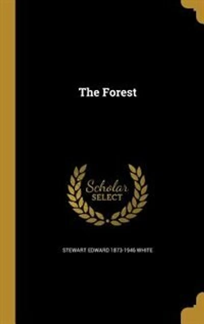 The Forest