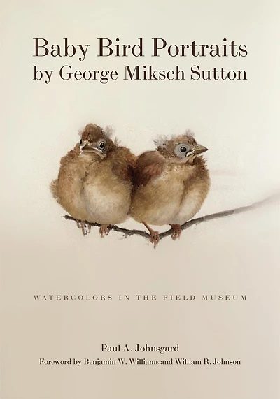 Baby Bird Portraits By George Miksch Sutton: Watercolors In The Field Museum