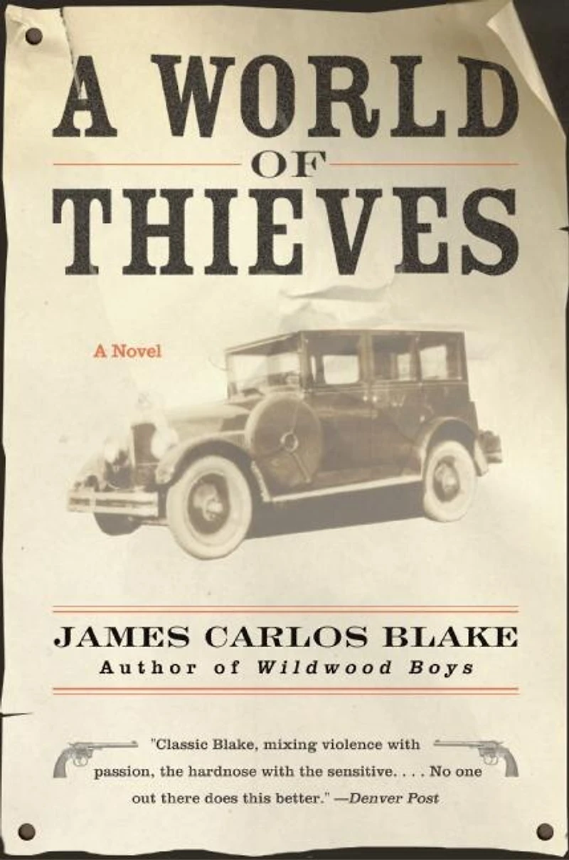A World of Thieves: Novel