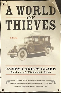 A World of Thieves: Novel