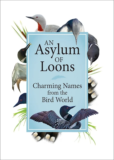An Asylum Of Loons: Charming Names From The Bird World
