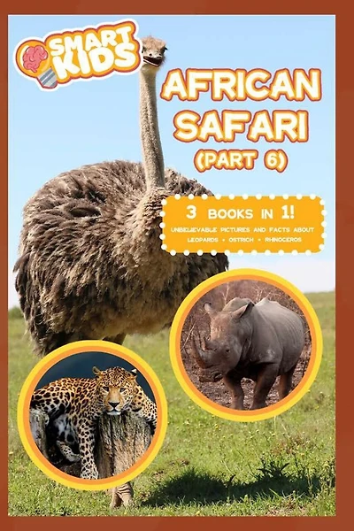 African Safari