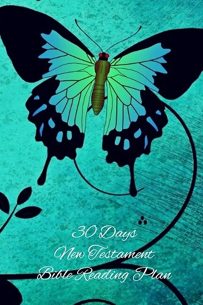 30 Days New Testament Bible Reading Plan