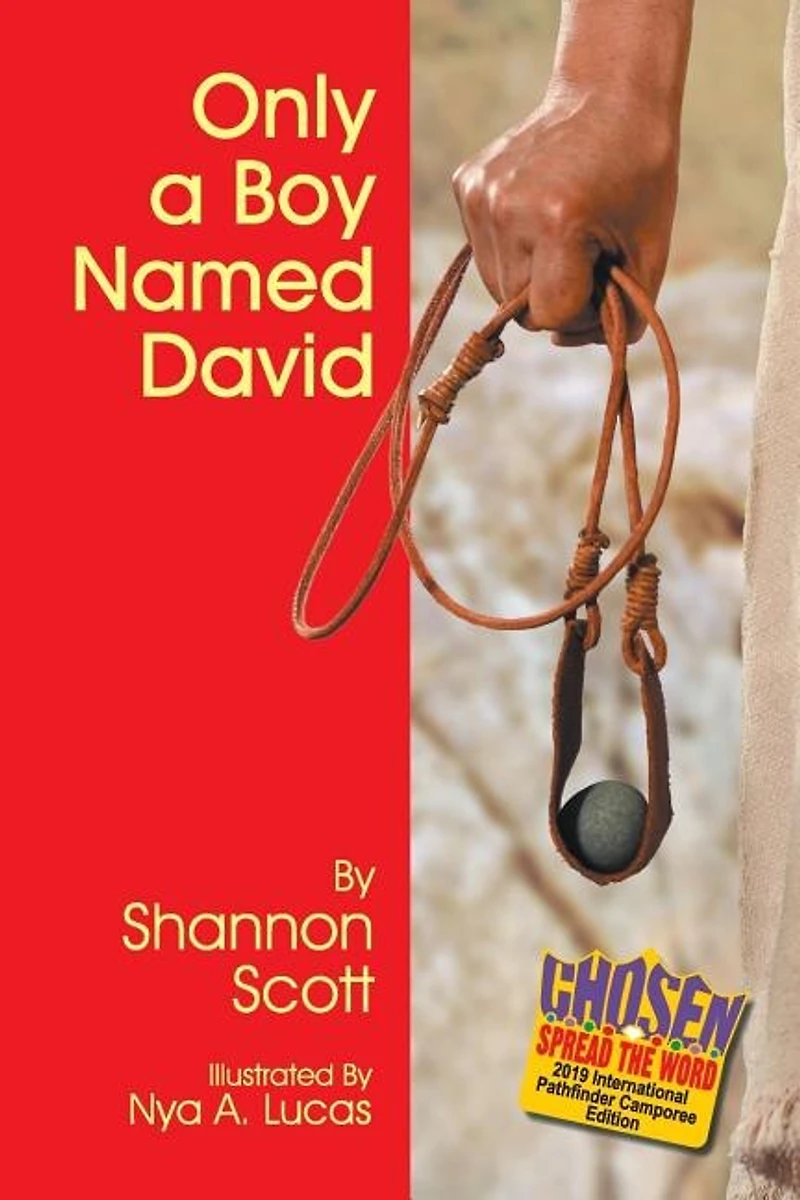 Only A Boy Named David