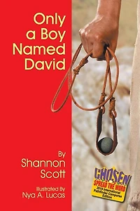 Only A Boy Named David