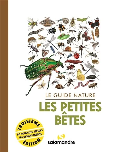 Les petites bêtes: le guide nature