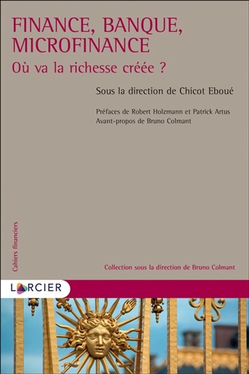 Finance, banque, microfinance: où va la richesse créée ?