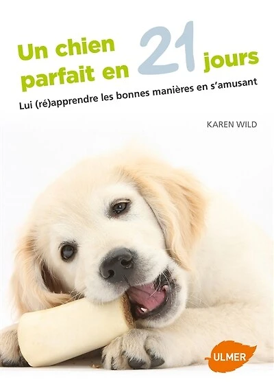 Un chien parfait en 21 jours: lui (ré)apprendre les bonnes manières en s'amusant