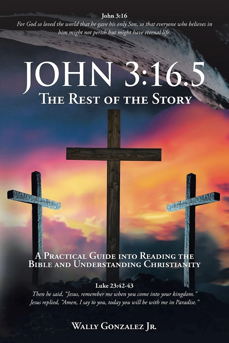John 3: 16.5: the Rest of Story: A Practical Guide into Reading Bible and Understanding Christianity