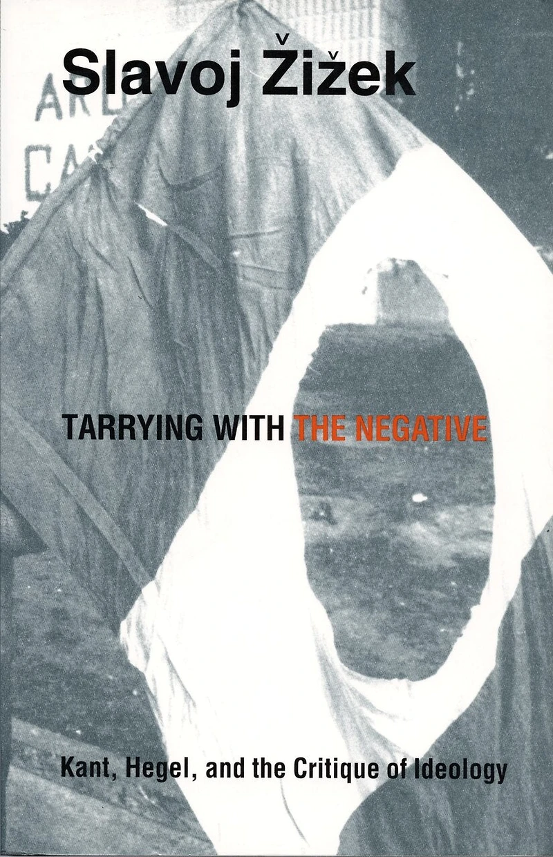Tarrying with the Negative: Kant, Hegel, and Critique of Ideology