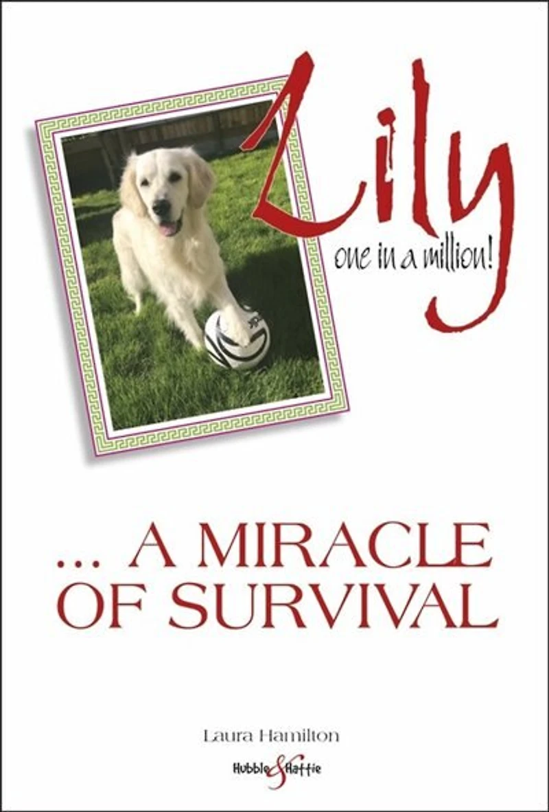 Lily: One In A Million: ... A Miracle Of Survival