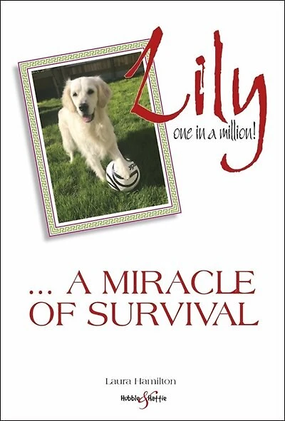 Lily: One In A Million: ... A Miracle Of Survival