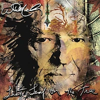 Last Leaf On The Tree by Willie Nelson (2 LPs)