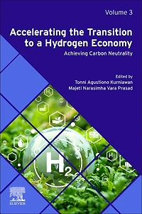 Accelerating the Transition to a Hydrogen Economy: Achieving Carbon Neutrality