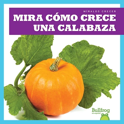 Mira Cómo Crece Una Calabaza (Watch a Pumpkin Grow)