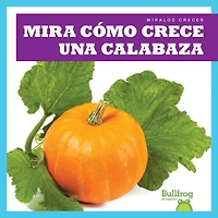 Mira Cómo Crece Una Calabaza (Watch a Pumpkin Grow)