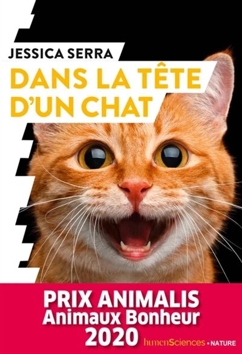 Dans la tête d'un chat