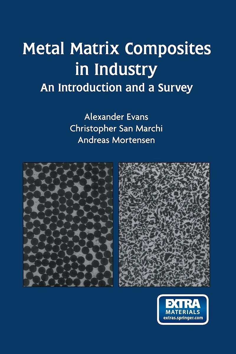 Metal Matrix Composites Industry: An Introduction and a Survey