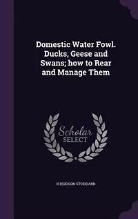 Domestic Water Fowl. Ducks, Geese and Swans; how to Rear and Manage Them