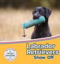Labrador Retrievers Show Off