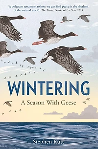 Wintering: A Season With Geese