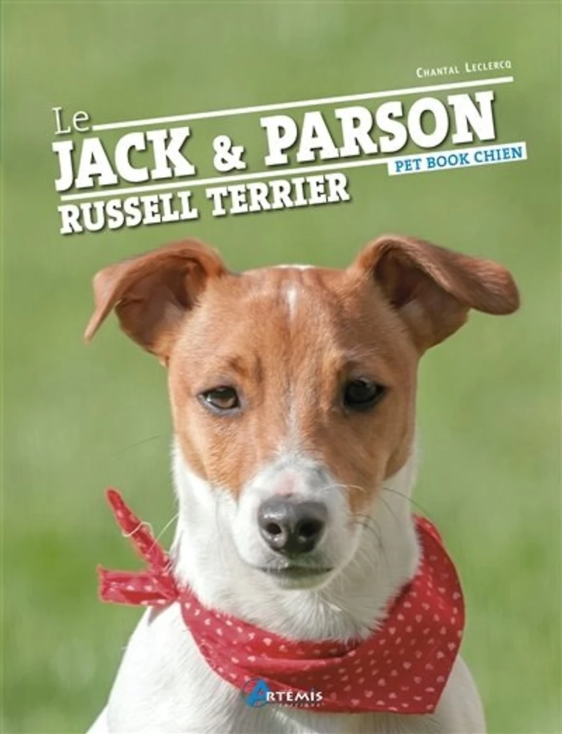 le jack et parson russell terrier