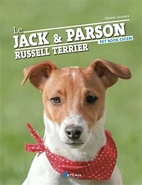 le jack et parson russell terrier
