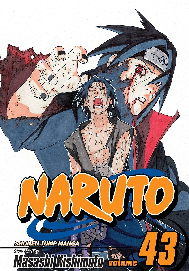 Naruto, Vol. 43: the Man with Truth