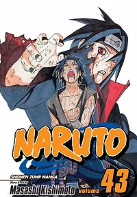 Naruto, Vol. 43: the Man with Truth