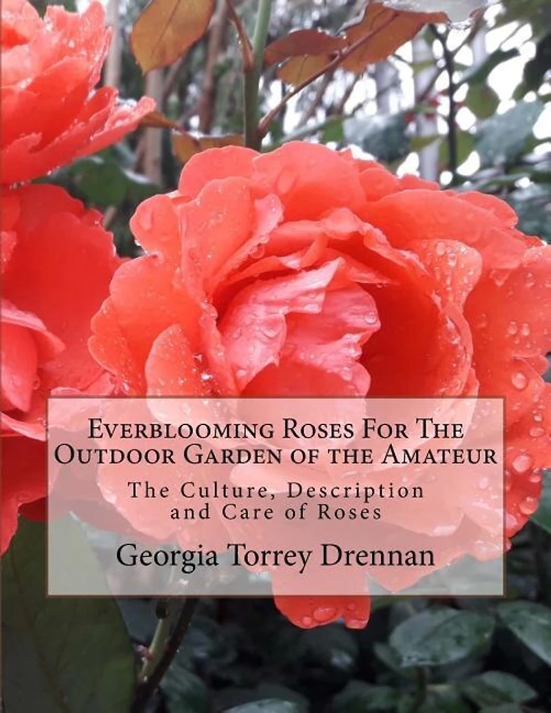 Everblooming Roses For The Outdoor Garden of the Amateur: The Culture, Description and Care of Roses