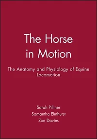 The Horse Motion: Anatomy and Physiology of Equine Locomotion