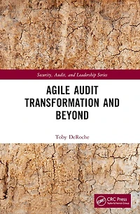 Agile Audit Transformation and Beyond