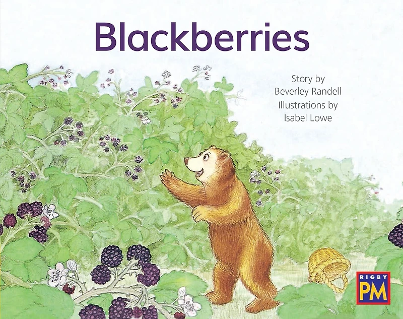Blackberries: Leveled Reader Yellow Fiction Level 6 Grade 1