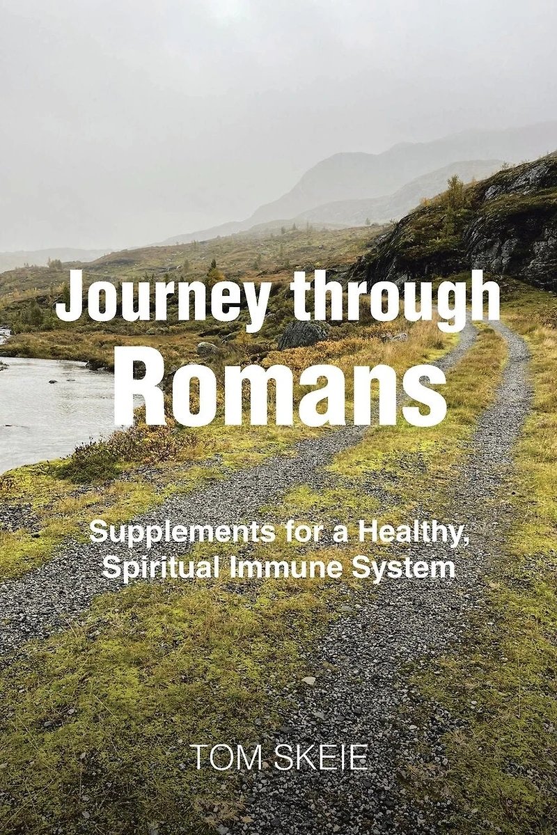 Journey through Romans: Supplements for a Healthy, Spiritual Immune System