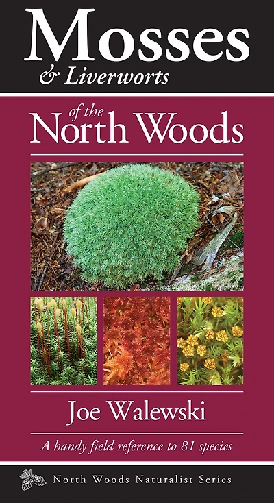 Mosses & Liverworts of the North Woods: A Handy Field Reference to 81 Species