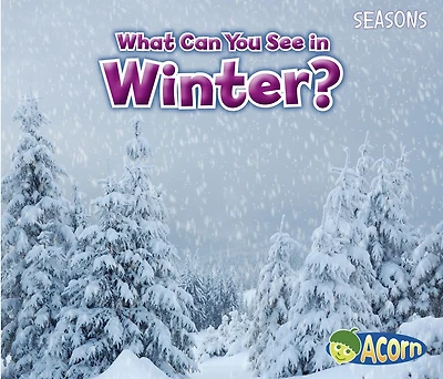 What Can You See in Winter?