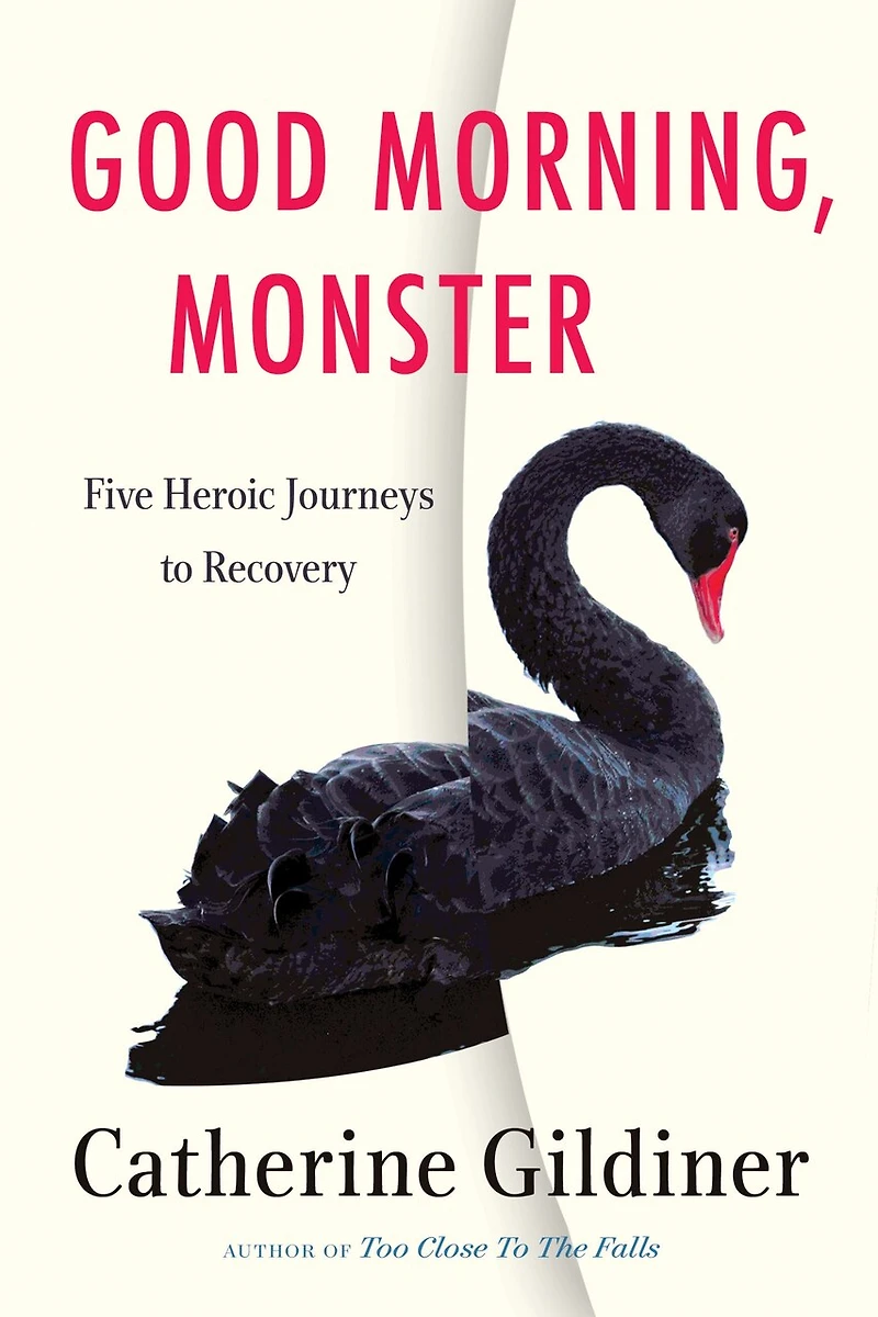 Good Morning, Monster: Four Heroic Journeys to Recovery