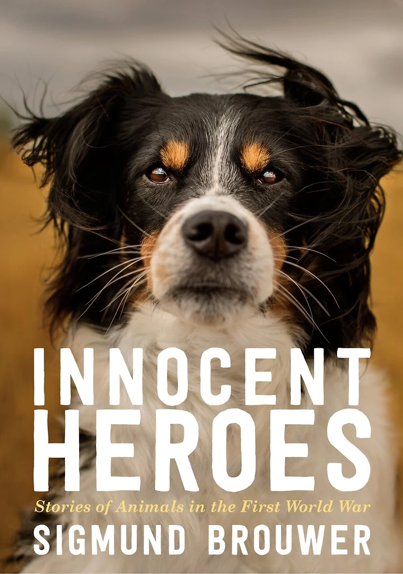 Innocent Heroes: Stories Of Animals The First World War