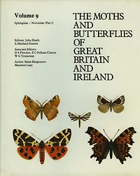 Sphingidae - Noctuidae (Noctuinae Hadeninae)
