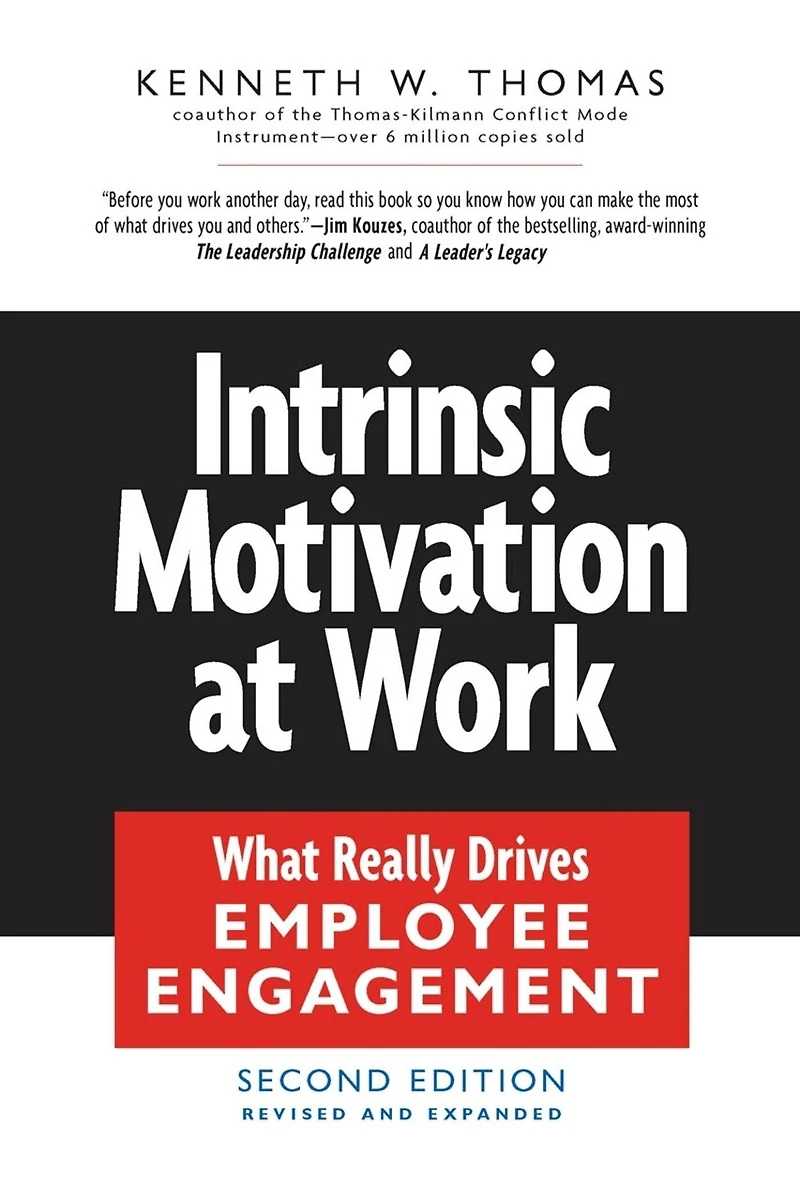Intrinsic Motivation at Work: Building Energy And Commitment