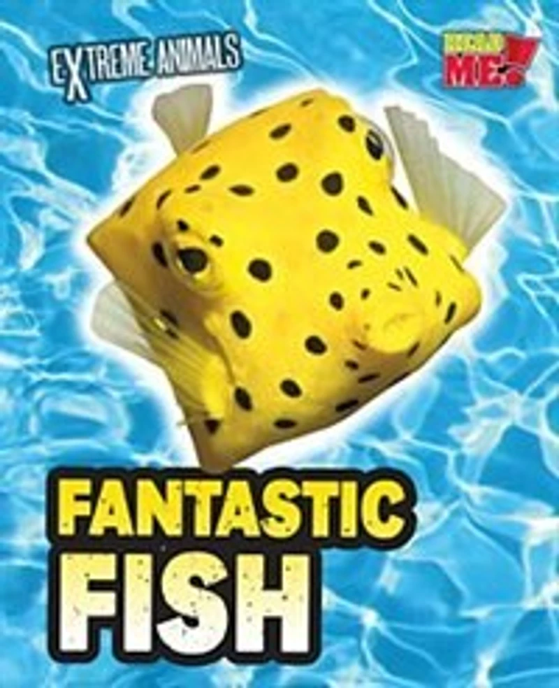 Fantastic Fish